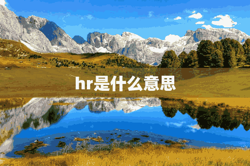 hr是什么意思(hr是什么意思医学)